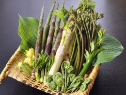 春のおまかせセット