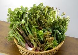 秋の選べるセット