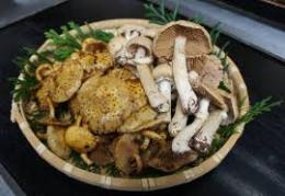 おすすめセット