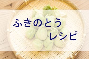 ふきのとうレシピ