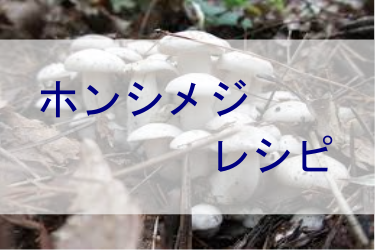 ホンシメジレシピ