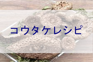 コウタケレシピ