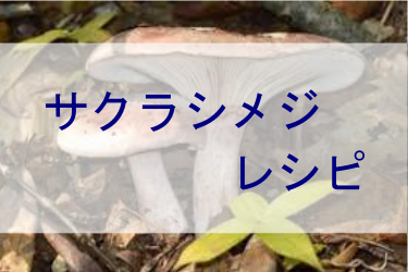 サクラシメジレシピ