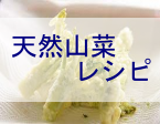 天然山菜のレシピ